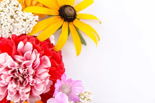 Verse kleurrijke bloemen — Stockfoto