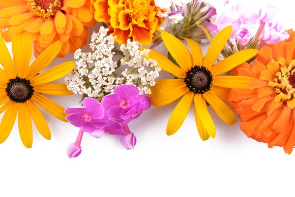 五颜六色的鲜花 — 图库照片