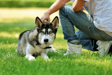 Güzel dış yapraklar köpek park ile genç adam