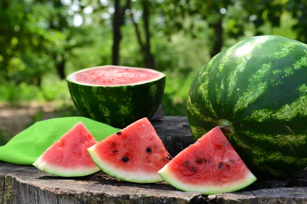 Fresh watermelon on stump of tree, closeup — Stock Photo, Image