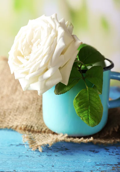 Hermosa rosa blanca en taza sobre fondo borroso claro — Foto de Stock