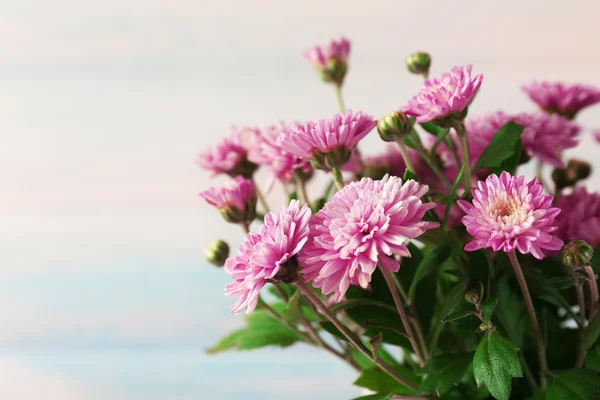 Mooie paarse chrysant bloemen op houten achtergrond — Stockfoto