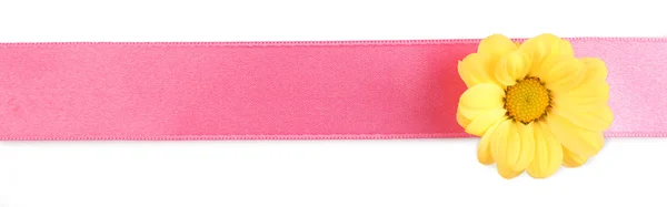 Розовая лента с желтым цветом — стоковое фото