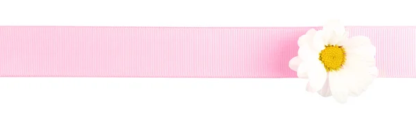 Pink ribbon with chamomile — Stock Photo, Image