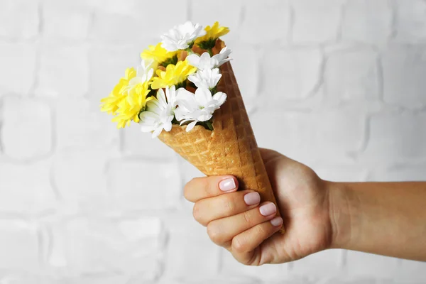 Woman's hand holding wild flowers in wafer on light wall background — Stock Photo, Image
