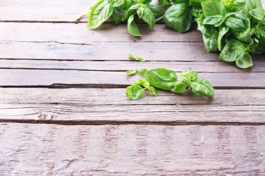 ahşap zemin üzerine yeşil taze fesleğen