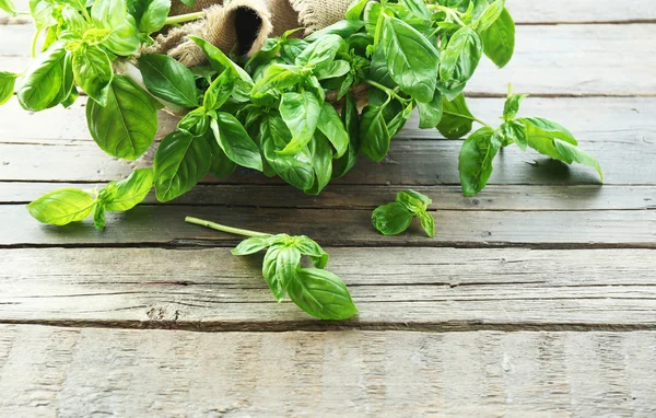 Green fresh basil in basket with sackcloth on table close up — Stock Photo, Image