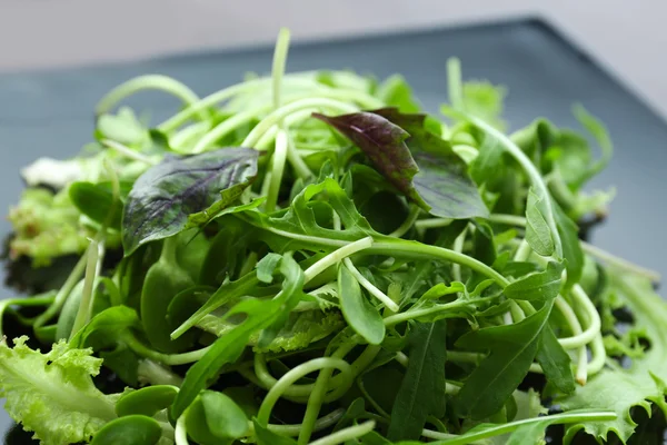 Taze karışık yeşil salata plaka üzerinde kapat — Stok fotoğraf