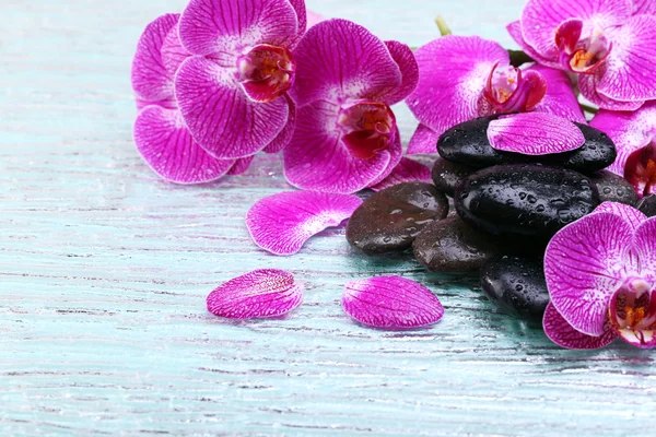 Orchidea viola e pietre zen primo piano — Foto Stock