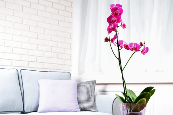 Hermosa orquídea lila en maceta en la mesa en la habitación — Foto de Stock