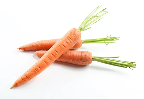 Zanahorias frescas aisladas en blanco — Foto de Stock