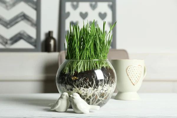 Pentola trasparente con erba verde fresca sul tavolo — Foto Stock