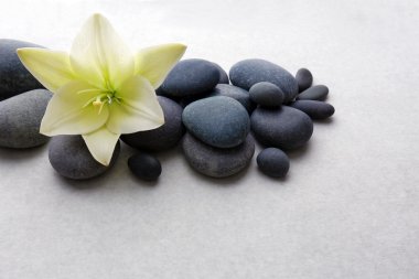 Açık renkli çiçek taşlarla Spa