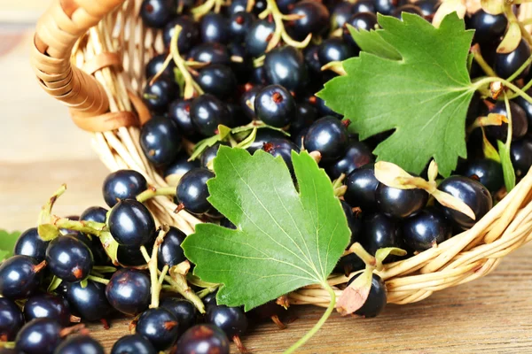 Färska svarta vinbär i rotting korg på träbord, närbild — Stockfoto