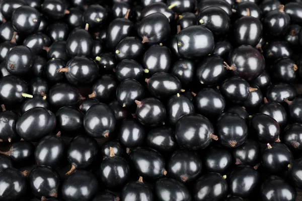 Heap of wild black currant close up — Stock Photo, Image