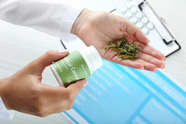 Doctor holding bottle of medical cannabis and dry herbs close up — Stock Photo, Image