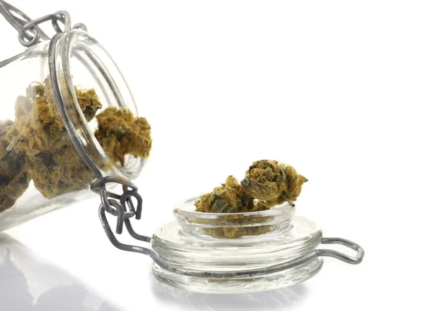 Dry medical cannabis in jar isolated on white — Stock Photo, Image