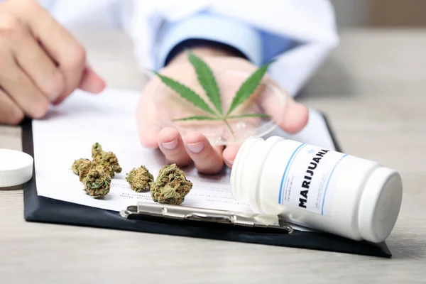 Arzt hält grünes Cannabisblatt aus nächster Nähe — Stockfoto