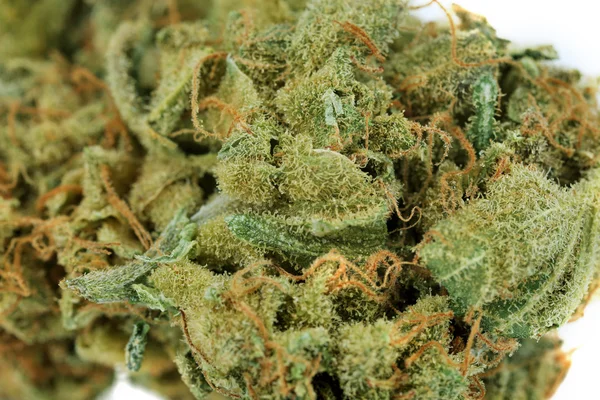 Droge medische cannabis close-up — Stockfoto