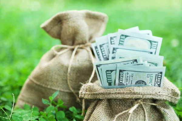 Lot of one hundred dollar bills in bags on grass background — Stock Photo, Image