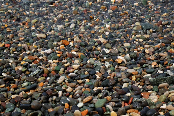 Deniz plajda ıslak çakıl taşları — Stok fotoğraf