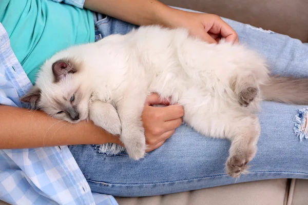 Jeune femme tenant un chat, gros plan — Photo