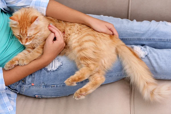 Giovane donna che tiene il gatto, primo piano — Foto Stock