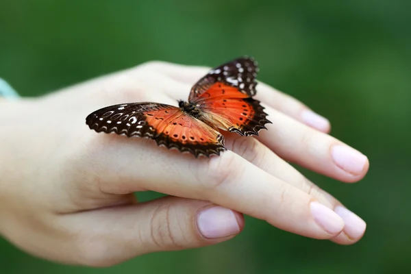 Mariposa colorida en mano femenina, primer plano — Foto de Stock