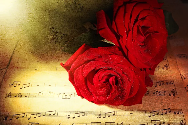 美丽的红玫瑰，对音乐床单，特写 — 图库照片