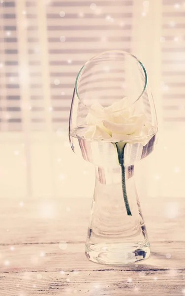 Small white flower in vase — Stock Photo, Image