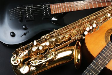 Müzik aletleri, portre