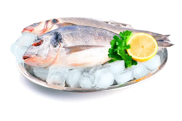 Poissons frais avec citron et glace sur plateau métallique isolé sur blanc — Photo