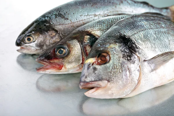 Frische Fische und Garnelen mit Gewürzen auf metallischem Hintergrund — Stockfoto