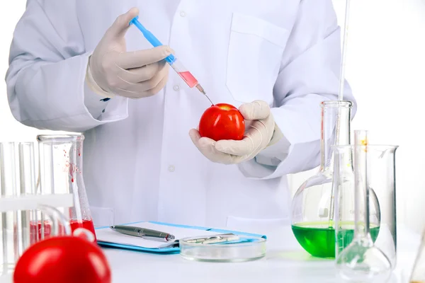 Scientist examines tomatoes — Stock Photo, Image