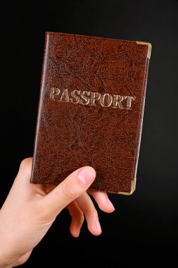 El tutma pasaportu