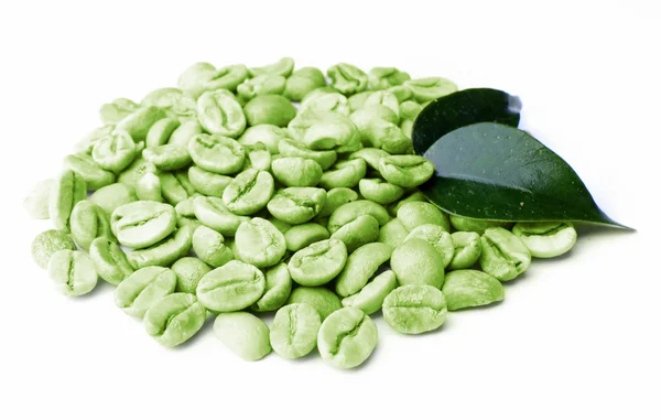 녹색 커피 콩 잎이 흰색 절연 — 스톡 사진