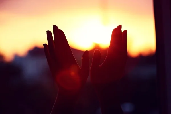 Vrouwelijke handen op zonsondergang — Stockfoto