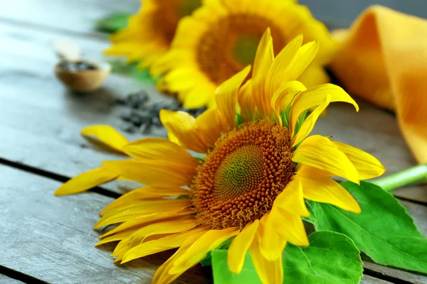 Beautiful bright sunflowers with seeds — Stock Photo, Image