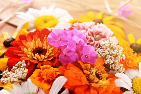 Fresh colorful flowers — Stock Photo, Image