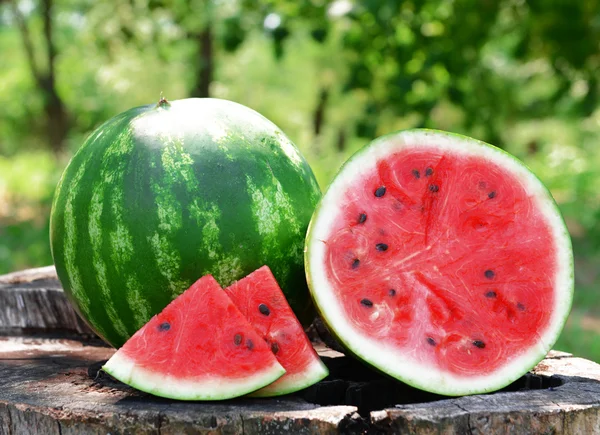 Fresh watermelon on stump of tree, closeup — Stock Photo, Image