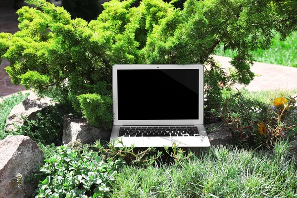Yeşil çim üstünde laptop — Stok fotoğraf