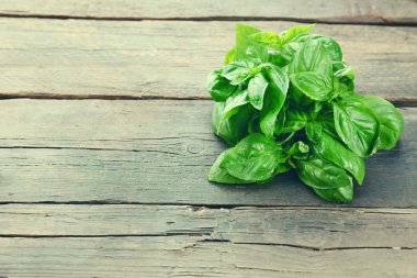 Yeşil taze fesleğen