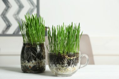 Çim ile şeffaf tencere