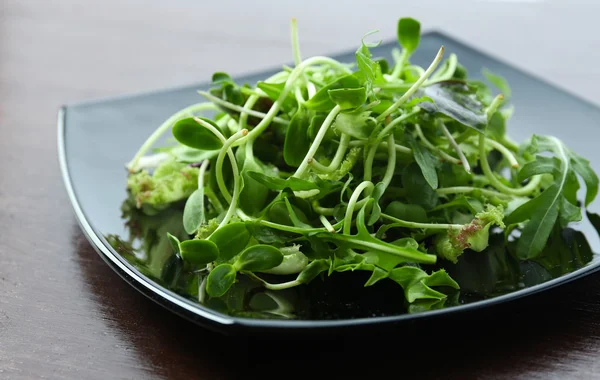Prato de salada verde mista fresca na mesa de madeira close-up — Fotografia de Stock