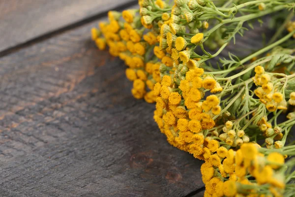 Beautiful wild flowers on  background — Stock Photo, Image