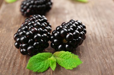 Yeşil yaprakları ile olgun böğürtlen