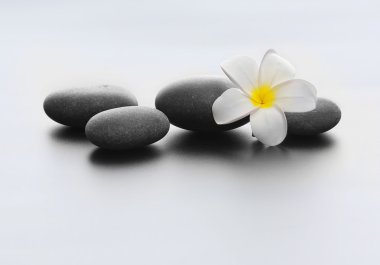 Açık renkli çiçek taşlarla Spa
