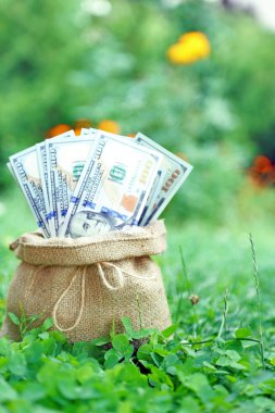 Sürü yüz dolar fatura çanta içinde