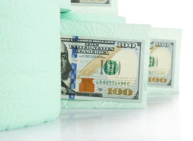 Tuvalet kağıdı ve Doları banknot ışık yeşil rulo