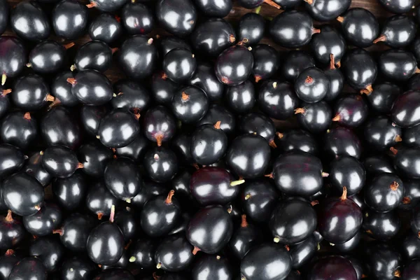 Heap of wild black currant — Stock Photo, Image